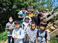 [2024. 6. 1] 제 3차 군산 우리숲탐험대 : 청암산 - 숲교육 - 전북생명의숲 [2024. 6. 1] 제 3차 군산 우리숲탐험대 : 청암산