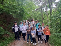 [2024. 5. 11] 제 2차 군산우리숲탐험대 : 군산 임피면 남산 - 숲교육 - 전북생명의숲 [2024. 5. 11] 제 2차 군산우리숲탐험대 : 군산 임피면 남산