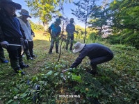 🌿 2026년 6월 6일(토) 제3차 그린짐 활동 이야기 🌿 - 도시숲 - 전북생명의숲 🌿 2026년 6월 6일(토) 제3차 그린짐 활동 이야기 🌿