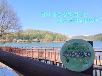 13] 제 1치 군산우리숲탐험대 : 미제 저수지 일대(은파호수공원) - 숲교육 - 전북생명의숲 [2024. 4. 13] 제 1치 군산우리숲탐험대 : 미제... 