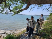 26] 제1회차 군산우리숲탐험대 : 기수역의 생태와 문화역사 (금강로) - 숲교육 - 전북생명의숲 [2025. 4. 26] 제1회차 군산우리숲탐험대... 