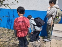 26] 제1회차 군산우리숲탐험대 : 기수역의 생태와 문화역사 (금강로) - 숲교육 - 전북생명의숲 [2025. 4. 26] 제1회차 군산우리숲탐험대... 