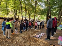 [2020.10.13] 하초마을숲자연학교 - 숲교육 - 전북생명의숲 [2020.10.13] 하초마을숲자연학교