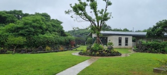 고양이와함께 - 정회원게시판 - 뿌리 게스트하우스 고양이와함께