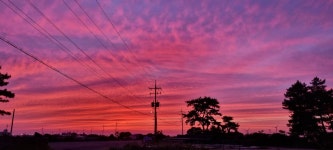 제주도일몰 - 정회원게시판 - 뿌리 게스트하우스 제주도일몰