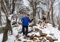 [2023년 새해 ] 백파 * 두물머리 설백(雪白)의 부용산을 오르다 - -----...... [2023년 새해 ] 백파 * 두물머리 설백(雪白)의 부용산을 오르다