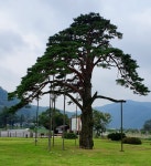 [국제퇴계학연구회] 2022—호서유학 변천의 자취를 찾아 [제3일] (5) - -----...백파의 山 이야기 - 도이터캠프배낭여행 [국제퇴계학연구회] 2022... 