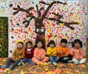 노랑. 주황 컬러데이(4세) - 이달의 행사 - 익산아이미소어린이집 노랑. 주황 컬러데이(4세)