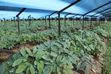 DMZ 평화의 길, 화천 22코스(화천대교-풍산교) 기행 - ♠DMZ평화의길 사진♠ - [서울청마산악회] [서울청마산악회]