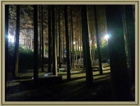 칠칠일사회 대전 장태산자연휴양림(2025.11.14~15) - 칠칠일사회 - 민승관입니다 칠칠일사회 대전 장태산자연휴양림(2025.11.14~15)