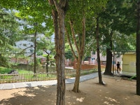 2026.08.01.(오후) 사월동지석묘군 - 수성구지회(안내) - 대구문화협회 2026.08.01.(오후) 사월동지석묘군