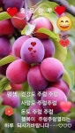 토요일,카톡인사 - ◈□시루산님 카톡인사 - 쉘브르 토요일,카톡인사