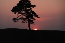정북토성 - 생활 유용 정보 - 산속의 그림자 정북토성