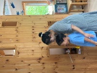 새봄 농원에서 햇사과를 따왔습니다. - 선교원일기 - 산돌자연학교 새봄 농원에서 햇사과를 따왔습니다.