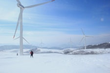 선자령 / 제왕산 눈꽃 산행안내 및 1호차 버스 좌석 배치도 - ▣2/11일당 평창 선자령.제왕산 눈꽃산행21.100원 - 온라인산악회 평창 선자령... 