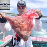 7월22일녹동보스호선단 돌문어조항 - 문어/쭈꾸미 오징어/한치조황 - 서진낚시매니아(서진낚시할인마트) 7월22일녹동보스호선단 돌문어조항