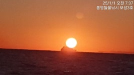 12월31일통영보성호 먼바다 왕갈치 오징어조항 - 갈치조황 - 서진낚시매니아(서진낚시할인마트) 12월31일통영보성호 먼바다 왕갈치 오징어조항