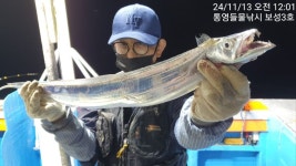 11월12일통영보성호 대마도권왕갈치 쿨려조항기본3.4.5지급 - 갈치조황 - 서진낚시매니아(서진낚시할인마트) 11월12일통영보성호... 