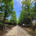 배움의 숲에 다녀왔어요 - 2022년 신나는반 사진 - 재능스쿨 어린이집 배움의 숲에 다녀왔어요