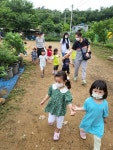 블루베리 농장에 다녀왔어요~ - 2022년 즐거운반 사진 - 재능스쿨 어린이집 블루베리 농장에 다녀왔어요~