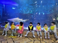 부천 플레이아쿠아리움~♡ - 2022년 즐거운반 사진 - 재능스쿨 어린이집 부천 플레이아쿠아리움~♡