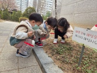 봄꽃으로 장식했어요 - 들꽃향기 사진첩 - 산들 어린이집 봄꽃으로 장식했어요