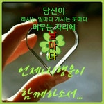 동행 길 - ――······· 감동글 좋은글 - 너에게 편지를 동행 길