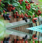 마음으로 드릴게요 - ――······· 감동글 좋은글 - 너에게 편지를 마음으로 드릴게요