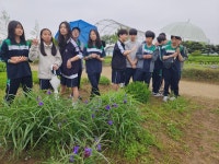 2025년 학교숲 톺아보기(잠신중학교)-2025년 5월 14-15일... - 생물다양성교육센터 2025년 학교숲 톺아보기(잠신중학교)-2025년 5월 14-15일... 