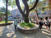 2025년 학교숲 톺아보기(신구중학교)-2025년 4월 29일 다녀왔습니다.... 2025년 학교숲 톺아보기(신구중학교)-2025년 4월 29일 다녀왔습니다.