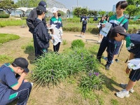 2025년 학교숲 톺아보기(잠신중학교)-2025년 5월 14-15일 다녀왔습니다. - 알려드립니다!! - 생물다양성교육센터 2025년 학교숲 톺아보기... 