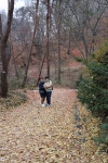 복음화위원회 남한산성 순교성지 순례[2025.11.22(토)] - 복음화위원회 게시판 - 조원동주교좌성당 복음화위원회 남한산성 순교성지 순례... 