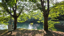 천호성지(전라북도 완주) - 성지순례 가족 사진 - 조원동주교좌성당 천호성지(전라북도 완주)