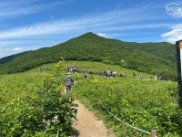 151차 5월25일 곰배령산행 - ◈..특별산행계획 - 김해 명 산악회 151차 5월25일 곰배령산행