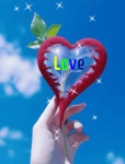 나의 소중한 인연,당신은 나의 영원한 평생 친구입니다 - 🔶️공유 글🔰나눔 - 💜산야와 한울타리💜 나의 소중한 인연,당신은 나의 영원한... 