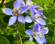 삶의 언저리에서 - 🔶️공유 글🔰나눔 - 💜산야와 한울타리💜 삶의 언저리에서