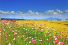 마음의 태도에서부터 오는 것 - 🔶️공유 글🔰나눔 - 💜산야와 한울타리💜 마음의 태도에서부터 오는 것