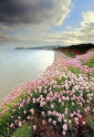 풍경사진 - 🌸자연풍경세계여행지 - 💜산야와 한울타리💜 풍경사진