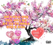 무엇이 행복하고 건강한 인생을 만들까요? - 🔶️공유 글🔰나눔 - 💜산야와 한울타리💜 무엇이 행복하고 건강한 인생을 만들까요?