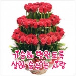 가슴에 영원토록 살아 숨쉬는 사랑 - 🔶️공유 글🔰나눔 - 💜산야와 한울타리💜 가슴에 영원토록 살아 숨쉬는 사랑
