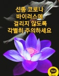 신종코로나 ~ - ▶ 공유글♡ 나눔 - ♡산야와 한울타리♡ 신종코로나 ~