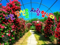 나는 당신을 사랑합니다 - 🔶️공유 글🔰나눔 - 💜산야와 한울타리💜 나는 당신을 사랑합니다