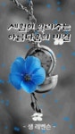 세월이 일러주는 아름다움의 비결 - 🔶️공유 글🔰나눔 - 💜산야와 한울타리💜 세월이 일러주는 아름다움의 비결