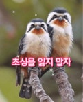 초심을 잃지 말자 - 🔶️공유 글🔰나눔 - 💜산야와 한울타리💜 초심을 잃지 말자