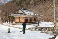 청양 장곡 장승공원의 여러모형의 장승 - 🌴여행 사진 갤러리 - 💜산야와 한울타리💜 청양 장곡 장승공원의 여러모형의 장승