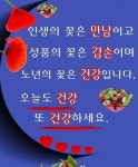 흘러가는 한세상 구름처럼 바람 처럼 즐겁고 건강하게 살다 가자... 한울타리💜 흘러가는 한세상 구름처럼 바람 처럼 즐겁고 건강하게 살다 가자