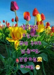 세월은 가는 것이 아니라 오는 것/카톡 이미지 - 🔶️영상 글🎥나눔 - 💜산야와 한울타리💜 세월은 가는 것이 아니라 오는 것/카톡 이미지