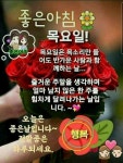 [감사함으로 여는 행복한 아침의편지] / 구상나무 - 🔶️공유 글🔰나눔 - 💜산야와 한울타리💜 목요일 아침! [감사함으로 여는 행복한... 