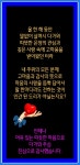 12월의 연가/올해의 마지막 남은 한 달도 행복한 삶으로 가득하세요 - 🔶️공유 글🔰나눔 - 💜산야와 한울타리💜 12월의 연가/올해의 마지막... 