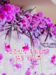 남은인생 후회없는 삶을 위하여 - 🔶️공유 글🔰나눔 - 💜산야와 한울타리💜 남은인생 후회없는 삶을 위하여